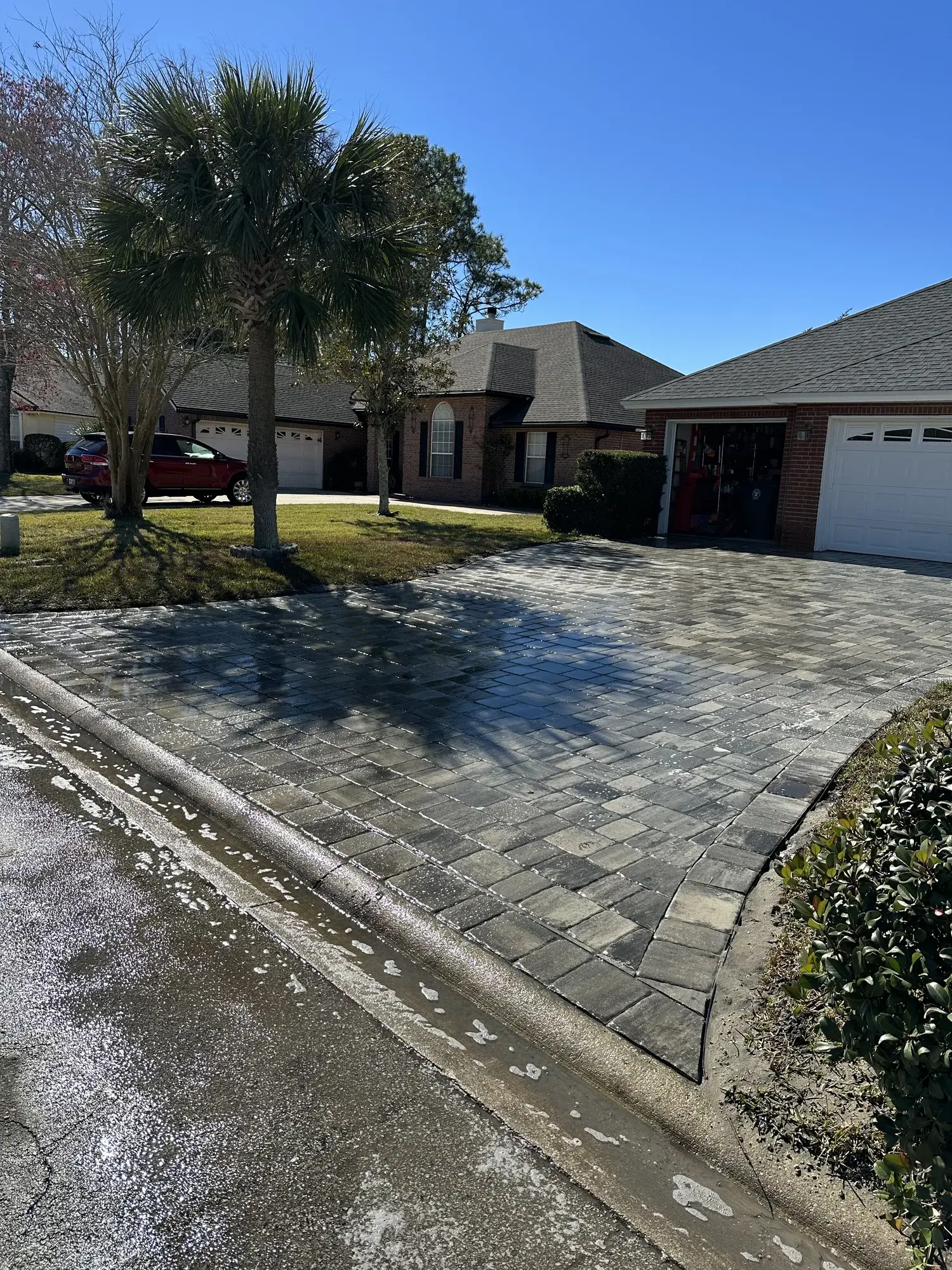 Tree Service